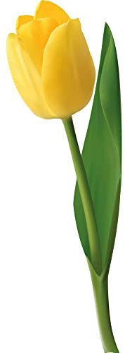 kleberio Aufkleber Tulpe gelb Autoaufkleber wasserfest Blumen Mülltonne Blumenwiese Dekoration selbstklebend Fensterbild Fliesenaufkleber für Kinder und Erwachsene 6 x 18 cm