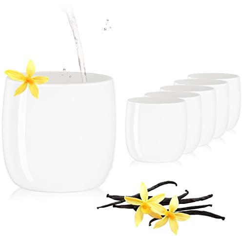 PLATINUX Elegante Weiße Trinkgläser aus Glas 260ml (max.320ml) Set 6 Teilig Wassergläser Saftgläser Whiskeygläser