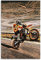 Enartly Kunstdruck Poster Poster Supermoto Wheelie Modernes Familienschlafzimmer Kinderzimmer 60x90cm Kein Rahmen
