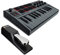 MIDI Controller Bundle - AKAI Professional MPK Mini Grey MK3 MIDI Keyboard + M-Audio SP2 Universal Sustain Pedal and MPC Beats Production Software