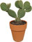 Cactus Pala con Maceta de Cerámica | DECOALIVE | Opuntia Microdasys | Altura ± 30cm | Cactus Exterior e Interior