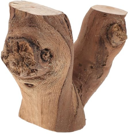 MUSISALY 1stück Künstliche Weinrebe Dekoration Natürlicher Rattan AST Für Terrarien Und Zufälliges Design Für Heimdekoration Und Pflanzenarrangements