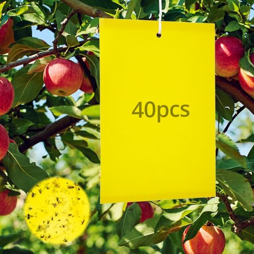 QWORK® 40 Stück Gelbtafeln Falle Obstbäume, Gelbkarten Gegen Trauermücken, für Blattläuse, Motten, Andere Insekten