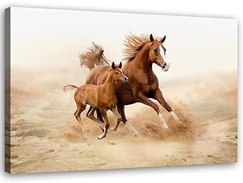 Feeby Bild auf Vlies Leinwand Fohlen Stute Laufen Pferde 45x30 cm Kunstdruck Modern Wandbilder Deko Flur Wohnzimmer Frei Wild Sand Herde Braun