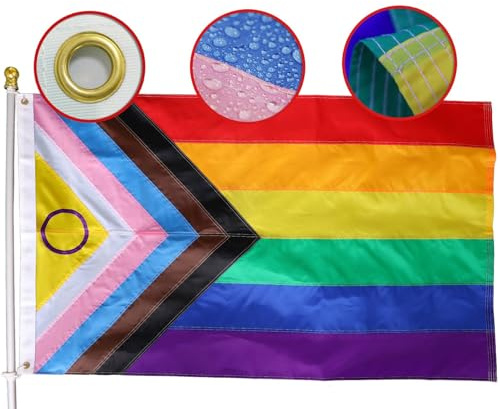 Bestickte Flagge Progress Pride, 60 x 90 cm, für den Außenbereich, langlebigstes Nylon, 220D genähte Streifen, inklusive progressiver Flagge, LGBTQ+, Geschenk, Hausdekoration, Banner