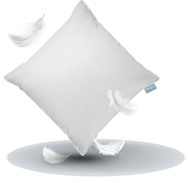 XDREAM Premium Daunenkissen 2er Set Federkopfkissen | Hülle: 100% Baumwolle | Füllung: 100% Daunen & Federn | Füllgewicht je Kissen: 1000 g | 80 x 80 cm