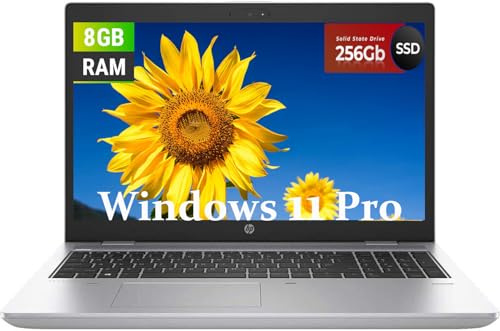HP ProBook 650 G4 Business Laptop, 15.6 FHD(1920x1080) Display, Intel Core i5-7300U 2.6GHz, 8GB RAM, 256GB SSD, US QWERTY Keyboard, Windows 11 Pro (rinnovato)