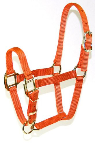 Hamilton 3/4 Adjustable Quality Horse Halter, 100 to 200-Pound Foal, Mango