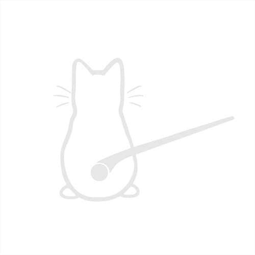 Rear Window Wiper Decal Animal for Cat Wiper Sticker 3D Funny Party Cartoon Vinyl Bumper Windshield Sticker Waterproof Boat Graphics Decals Large