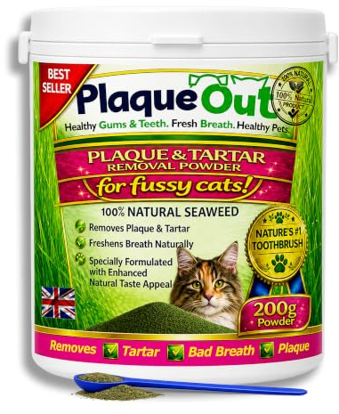 PLAQUE OUT for Fussy Cats 200g Pot - Plaque Off Remover | 100% Natural Seaweed Powder for Cats - Cat Teeth Cleaning, Cat Plaque Removal, Cat Dental Care, Bad Breath & Gum Care