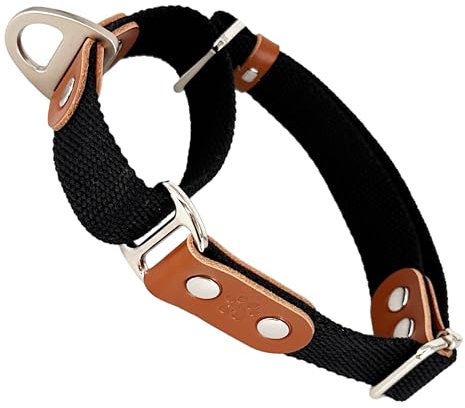 Martingalhalsband Hundewürgehalsband, Anti-Zug, Poly-Baumwolle und Leder. M. Schwarz & Cognac