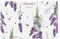 Lavendel auf Vintage Bunte Provence,Tischsets aus Leinenimitat, 4er Set, waschbar, hitzebeständig, Tablettunterlage, 30x45 cm