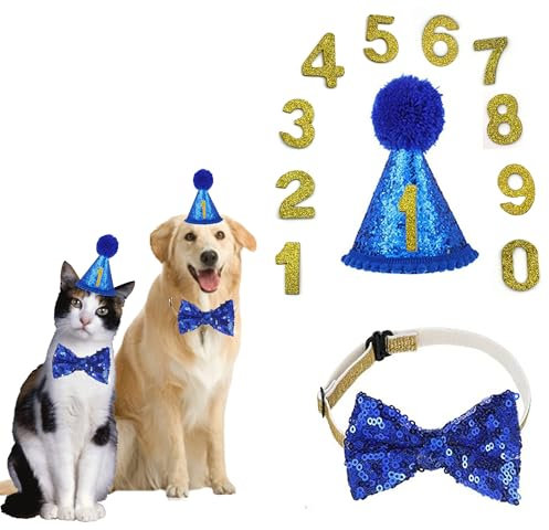 DHER Haustier Geburtstagsset Mit Goldenem Pailletten Hut Geburtstag Hut Pet Party Dekorationsset Hund Geburtstagshut Fliege Katze Hund Geburtstag Pailletten DekorationszubehöR Festliche Party (blau)