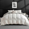 APSMILE Daunendecke 220x240 Winter Bettdecke mit Gänsedaunen und Federn, Extra Warme Winterdecke, Duvet für Doppelbett, Natur Duvet für Doppelbett, Federbettdecke mit Dicker Füllung, Weiß