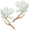 Patches zum Aufbügeln Magnolie 2 Stück Buegelbilder Bestickte Patches Sticker Gestickte Aufnäher Applikation für DIY Kleidung Jeans T-Shirt Jacken Rucksäcke