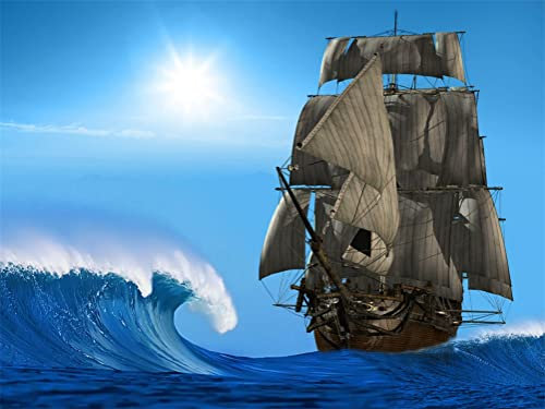 Meecaa Malen nach Zahlen Segelschiff Wellen Sonne Kit für Erwachsene Anfänger DIY Ölgemälde 40,6 x 50,8 cm (Segelboot, kein Rahmen)
