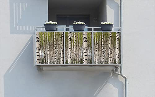 Wallario Balkonverkleidung, Sichtschutz, Windschutz, Meterware nach Maß - Motiv Birkenwald - Baumstämme in schwarz weiß (Grundpreis: 27,95Eur/m)