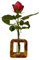Vase Quentin aus Olivenholz