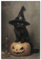UNXIS Poster mit süßer schwarzer Katze, Hexen-Poster, Halloween-Kürbisdruck, viktorianisch, Gothic, Leinwand, Wandkunst, 40,6 x 61 cm, ungerahmt