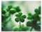 1000-Piece The Clover Puzzle - St. Patrick's Day Green Muted Color Jigsaw