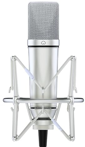 Microphone à condensateur pour un enregistrement vocal de qualité à petit budget