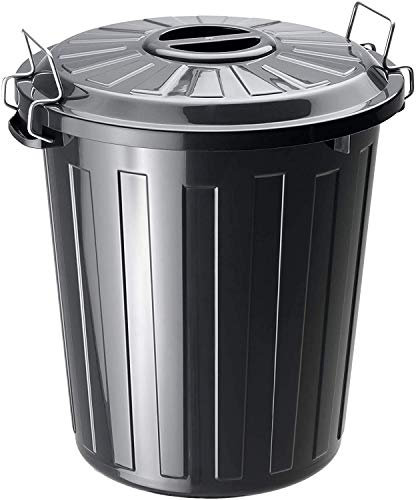 RothoPro Basic Poubelle 25l avec couvercle, Plastique (PP) sans BPA, noir, 25l (37.0 x 36.0 x 41.5 cm)