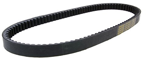 Dayco 8179K 8 Power Plus Keilriemen Kevlar Verstärkt, L1006 X B22