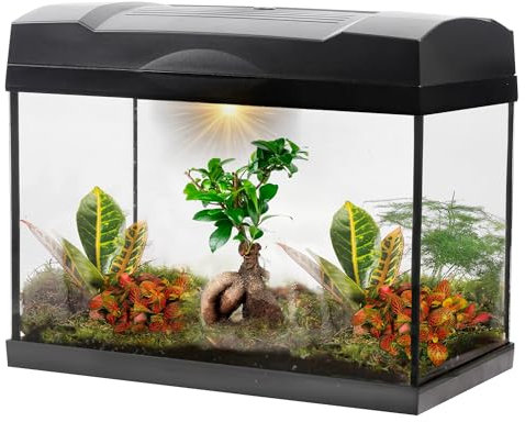vdvelde.com - Tropisches Bonsai-Mega-Terrarium - - 1 Bonsai + 5 farbige Pflanzen- Abmessungen: 39x21x31 cm- Netzgebundene Beleuchtung