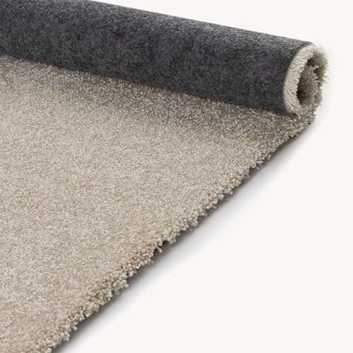 Primaflor Teppichboden JADE - Beige - 4,00m x 2,50m | Weicher Velours Wohnzimmer-Teppich 100% Polyester, schwer entflammbar, fußbodenheizunggeeignet | 4m Breite, trittschalldämmend