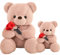 Kekeso San Valentino Teddy Bear Doll Peluche Giocattolo Confessione Rosa Fiore Abbraccio Panda Bambola per fidanzata in tutto il mondo regalo di San Valentino ((25+35) cm=（9.84+13.77) inch, Pink