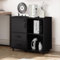 TUKAILAI Rollcontainer,Aktenschrank mit 2 Schublade 2 Regal,Büroschrank mit 4 Rollen 1 Tür，Home Office Lagerung Aktenschrank Abschließbar, 80 x 40 x 74.5 cm, Schwarz