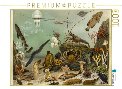 CALVENDO Puzzle Seewasser-Aquarium, Künstler: Adolf Giltsch (1852-1911) JENA | 1000 Teile Lege-Größe 64 x 48 cm Foto-Puzzle für glückliche Stunden