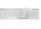Accuratus 301 MAC US English - USB-C Wired Full Size Apple Mac Multimedia US English Keyboard with White Square Tactile Keys and Silver Case