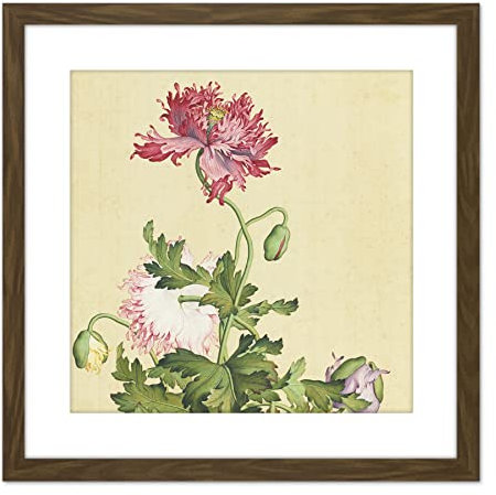 Artery8 Castiglione Opium Poppy Flower Painting 9X9 Inch Square Wooden Framed Wall Art Print Picture with Mount