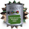 Pennello spray opaco da 2,5 l per uso militare su vernice UPVC per legno, acciaio e plastica, BS381 225 verde brunswick chiaro
