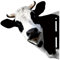 Proypiax Kuhkopf Gartenstatuen Edelrost Metall Dekoration Tierischer Rost Kuh Figur Gartendeko Cow Baumstecker