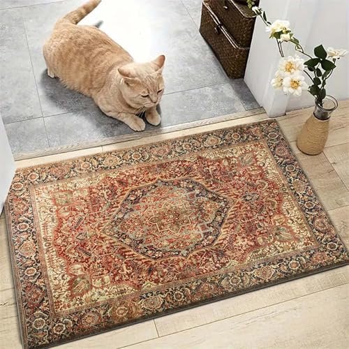 AMEHA Door Mats Outdoor Indoor 40 x 60 cm, Heavy Duty Door Matts Indoor, High Absorbent Non Slip Floor Mat Welcome Entrance Doormats Machine Washable Low Profile Doormat (Majestic)