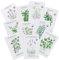 Sereniseed Semi di erbe biologiche certificate (confezione da 10) - Non OGM, cimelio - Video iniziale dei semi - Basilico, coriandolo, origano, timo, prezzemolo, lavanda, erba cipollina, salvia, semi