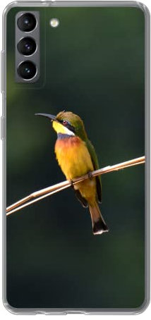 MuchoWow Funda para Samsung Galaxy S21 Plus - Colorido abejaruco Enano en una Rama - Funda de Silicona/Funda Blanda para teléfono móvil