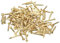 QUARKZMAN 120 Stück Messingnägel 1,2mmx10mm(DxL) Winzige Messing Nägel Hardware Nägel Kleine Nägel für Holz DIY Dekorative Boxen Haushaltszubehör, Messing Ton