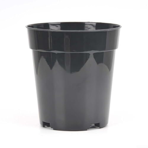 ZYWUOY Set di 10 vasi trasparenti per piante grasse ed erbe aromatiche con drenaggio efficiente (17 cm)