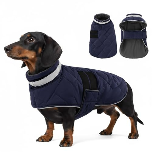 ASENKU Hundemantel Winter - Wasserdicht & Fleecegefüttert für kleine Hunde | Reflektoren, verstellbarer Riemen, Geschirrloch. Winddicht und warm. Hundejacke Geeignet für Miniatur Dackel, Malteser Welpe