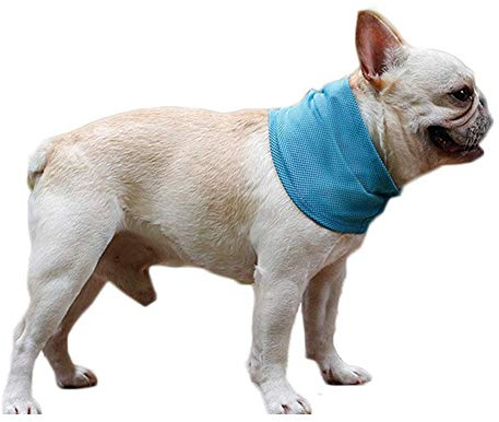 NACOCO 2 Pcs Dog Instant Cooling Scarf Summer Pet Bandana Cats Collar Ice Towels for Bulldog (Blue, M)