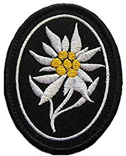 WW2 German Mountain Division Elite Edelweiss Military Hook Loop Tactics Morale Embroidered Patch