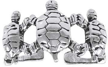 Divesilver Schildkröte Fussringe
