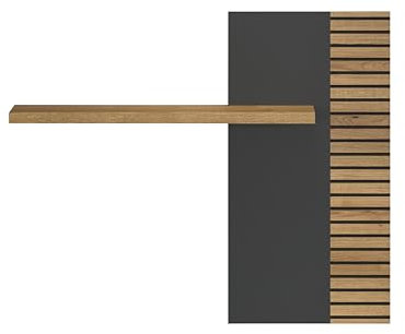 trendteam smart living - Wandregal Bücherleiste Bücherregal - Wohnen - Norris - Aufbaumaß (BxHxT) 111 x 91 x 19 cm - Farbe Anthrazit mit Coast Evoke Eiche - 230248184