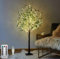 LOGT LED Baum Lichter Künstlich Olivenbaum 180cm 300 LED Warmweiß, USB LED Lichterbaum mit Fernbedienung, 8 Lichtmodi, Lichter Dekobaum, künstliche Grünpflanzen, für Weihnachts Hochzeit Party,150cm