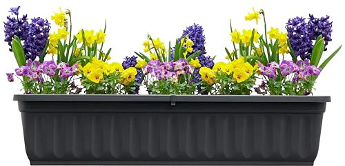 Hausfelder Blumenkasten 80 cm mit Wasserspeicher und Wasserstandsanzeige, Balkonkasten mit Bewässerungssystem für Innen und Außen (Anthrazit-Schwarz, 80cm lang)
