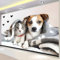 Haustier Fototapete Kinderzimmer Wandtapete Tiere Hunde und Katzen Tapete 400 x 280 cm Vliestapete Wandbild 3D Art Effekt Moderne Wanddeko Schlafzimmer Büro Flur