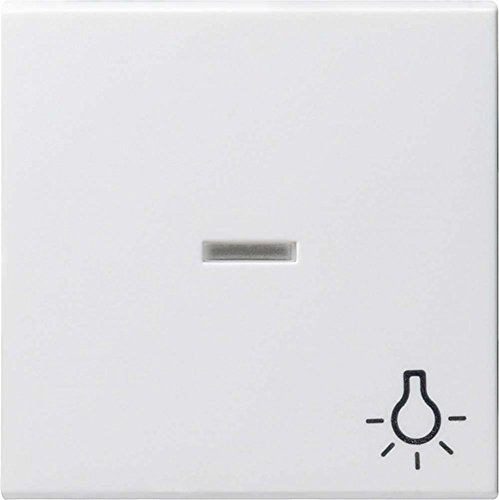 Gira Wippe 067427 Kontroll Sym Licht System 55 rw m